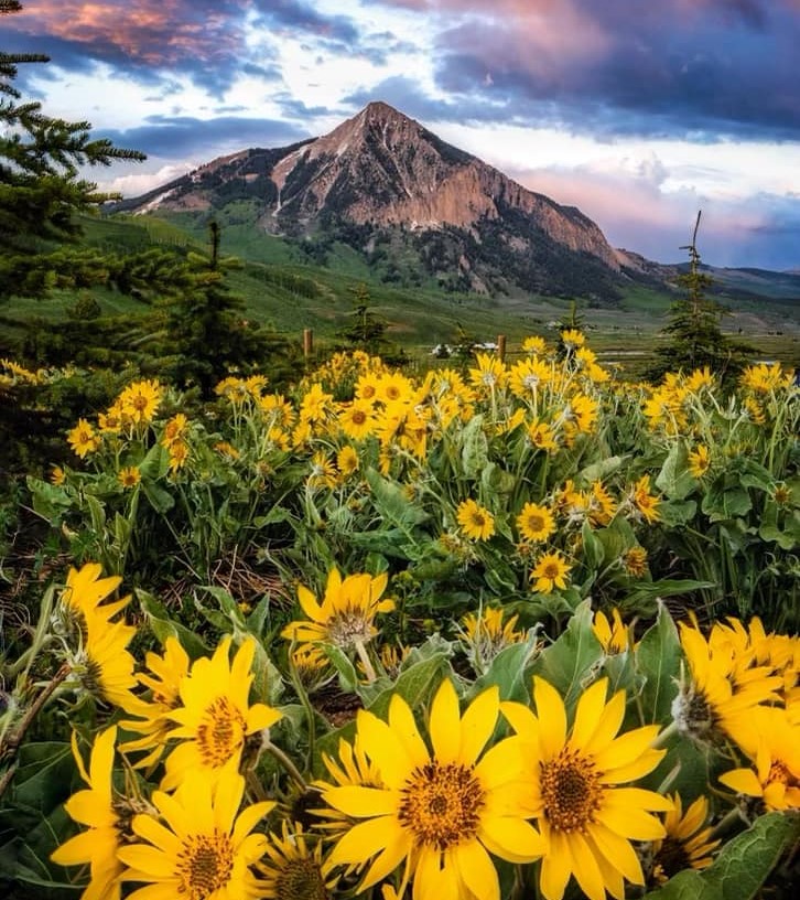 Crested Butte Second Quarter Market Report